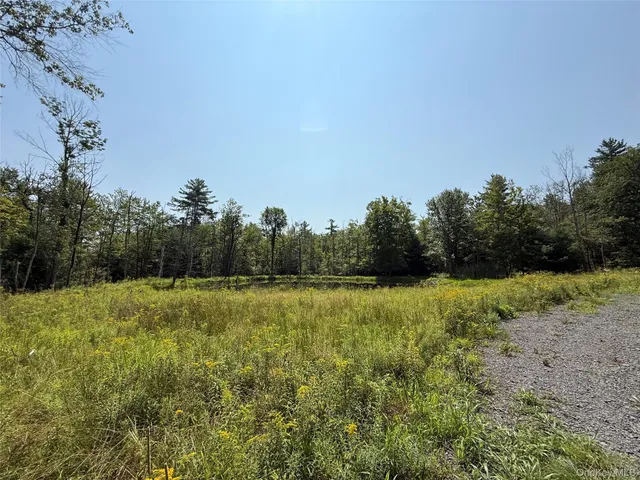 a yard with trees in the background