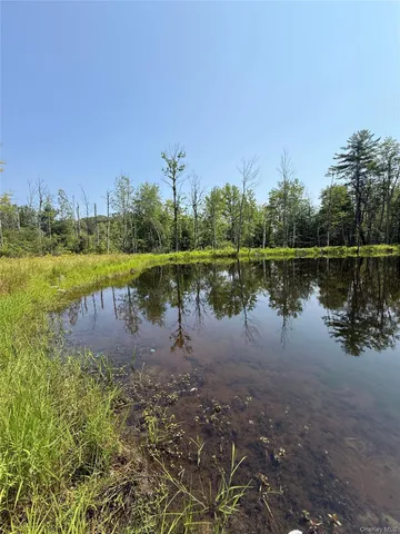 a view of a lake with houses in background
