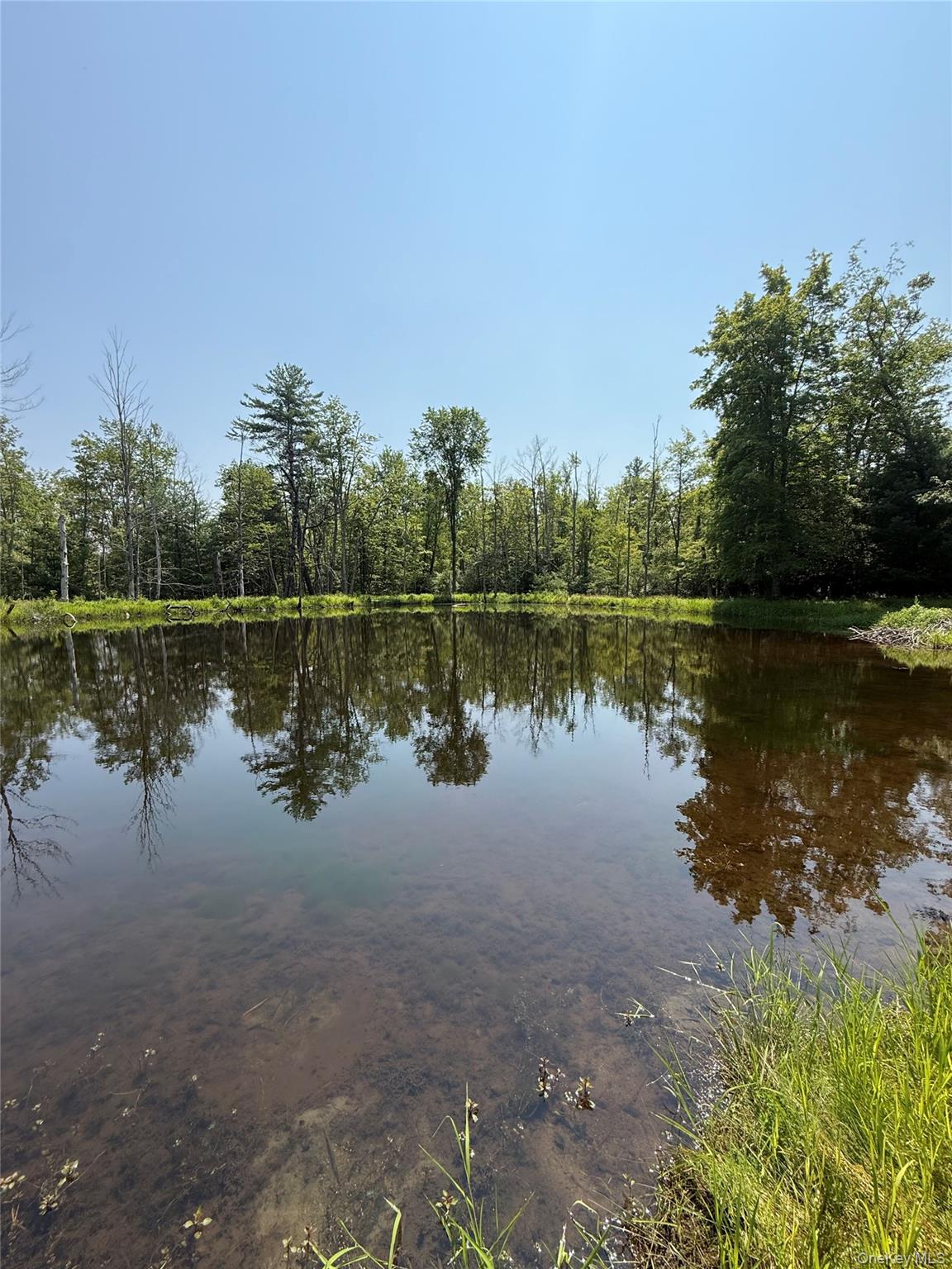 16 Kerness Road Ellenville, NY 12428 - Photo 6 of 6 a lake view with a lake view
