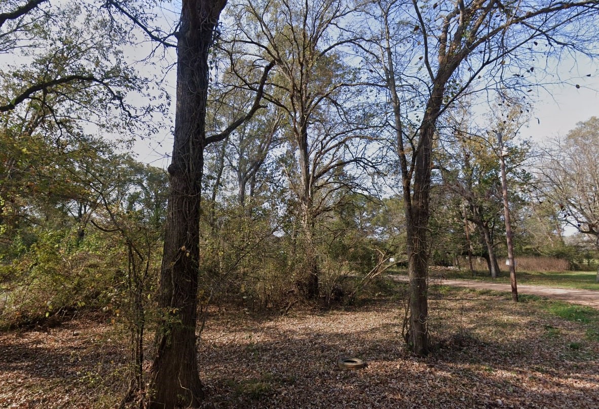 0 River Street Coldspring, TX 77331 - Photo 2 of 4 a view of a forest filled with trees