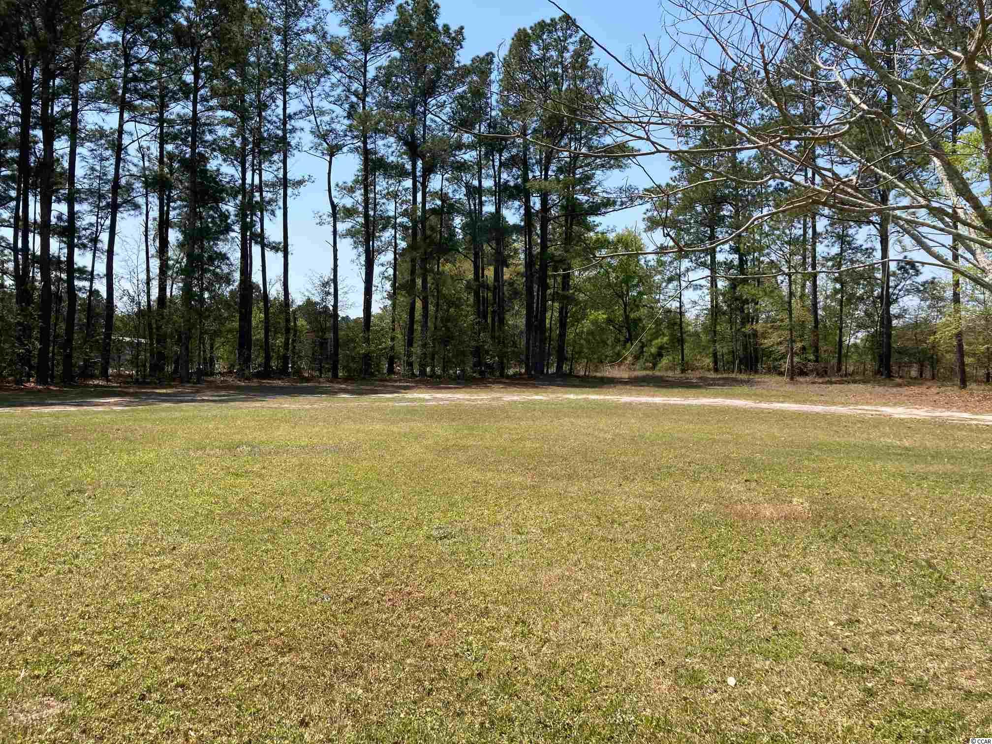 2084 Heritage Road Loris, SC 29569 - Photo 3 of 21 Gallery Image 3