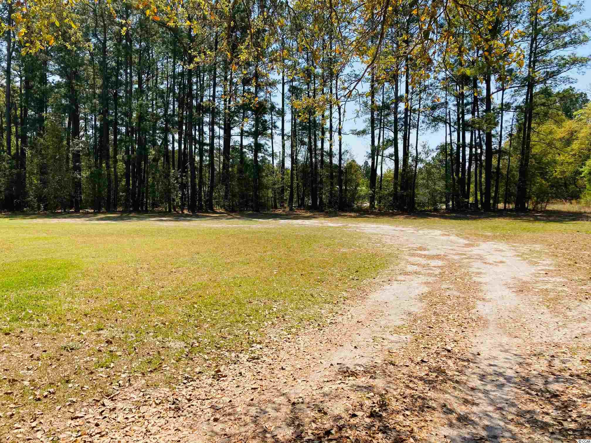 2084 Heritage Road Loris, SC 29569 - Photo 4 of 21 Gallery Image 4