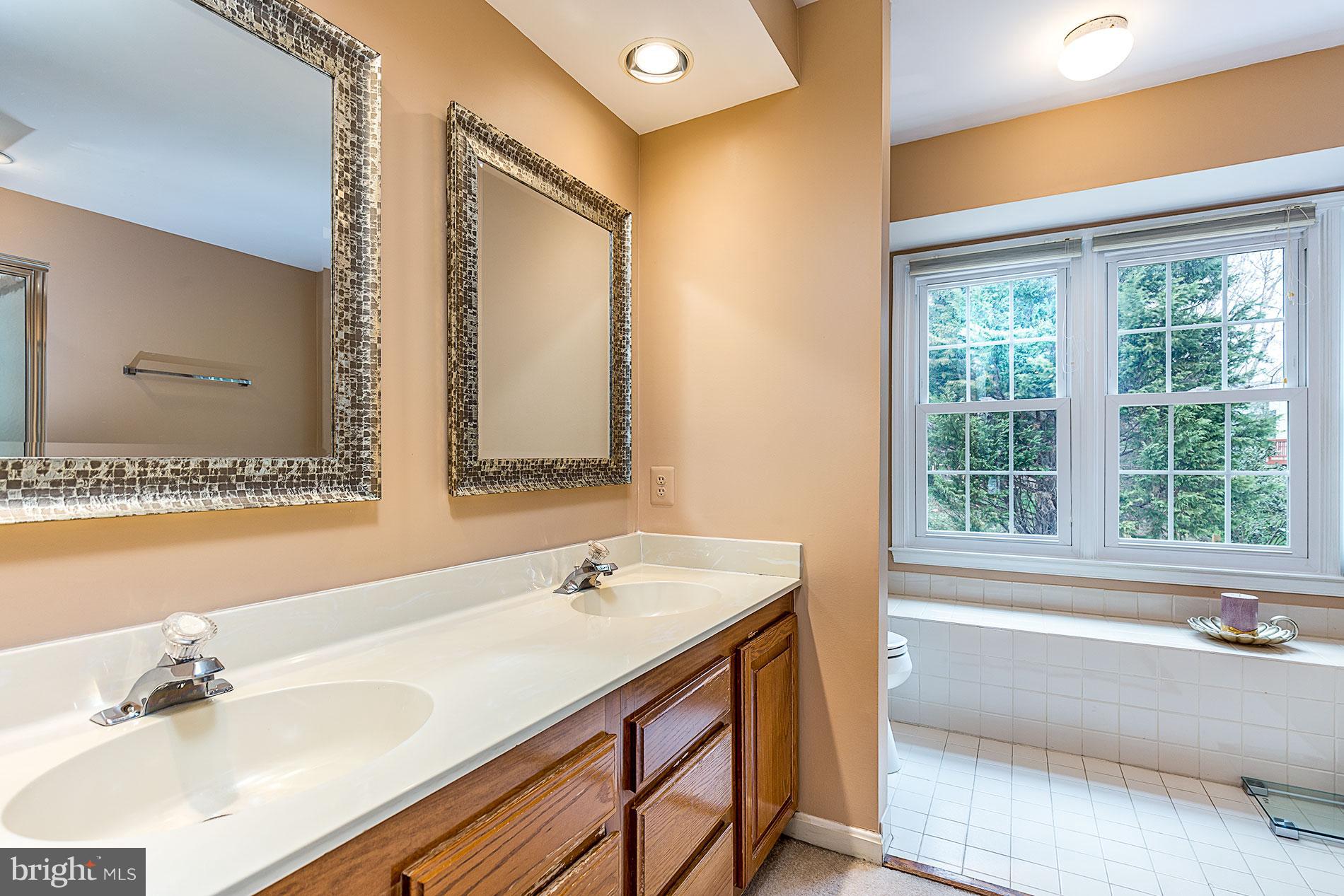 6453 Springhouse Circle Clifton, VA 20124 - Photo 19 of 30 a bathroom with a tub a sink and a window