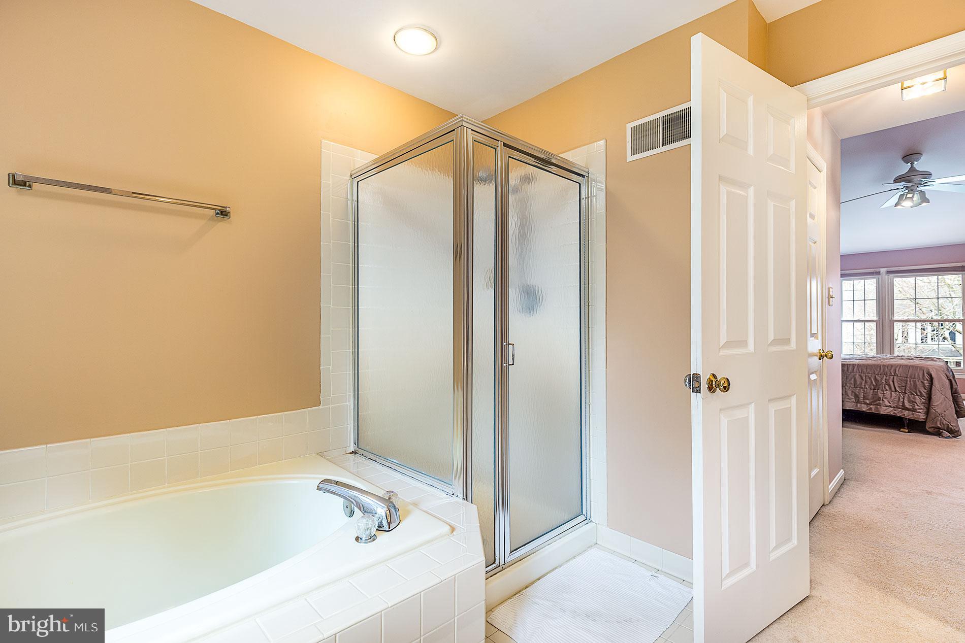 6453 Springhouse Circle Clifton, VA 20124 - Photo 20 of 30 a bathroom with a bathtub and a shower