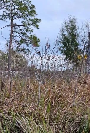 $22,900 | Tbd Southeast 104th Terrace, Belleview, FL 34420