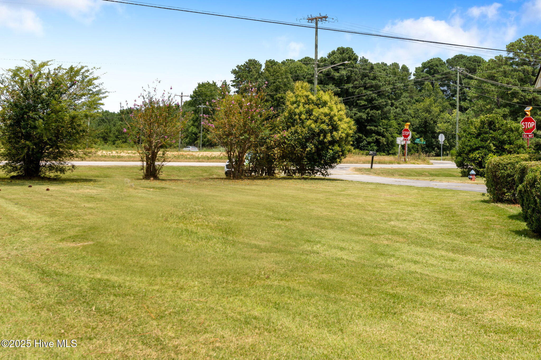 1852 Springfield Road Rocky Mount, NC 27801 - Photo 10 of 31 12-web-or-mls-1852-springfield-rd
