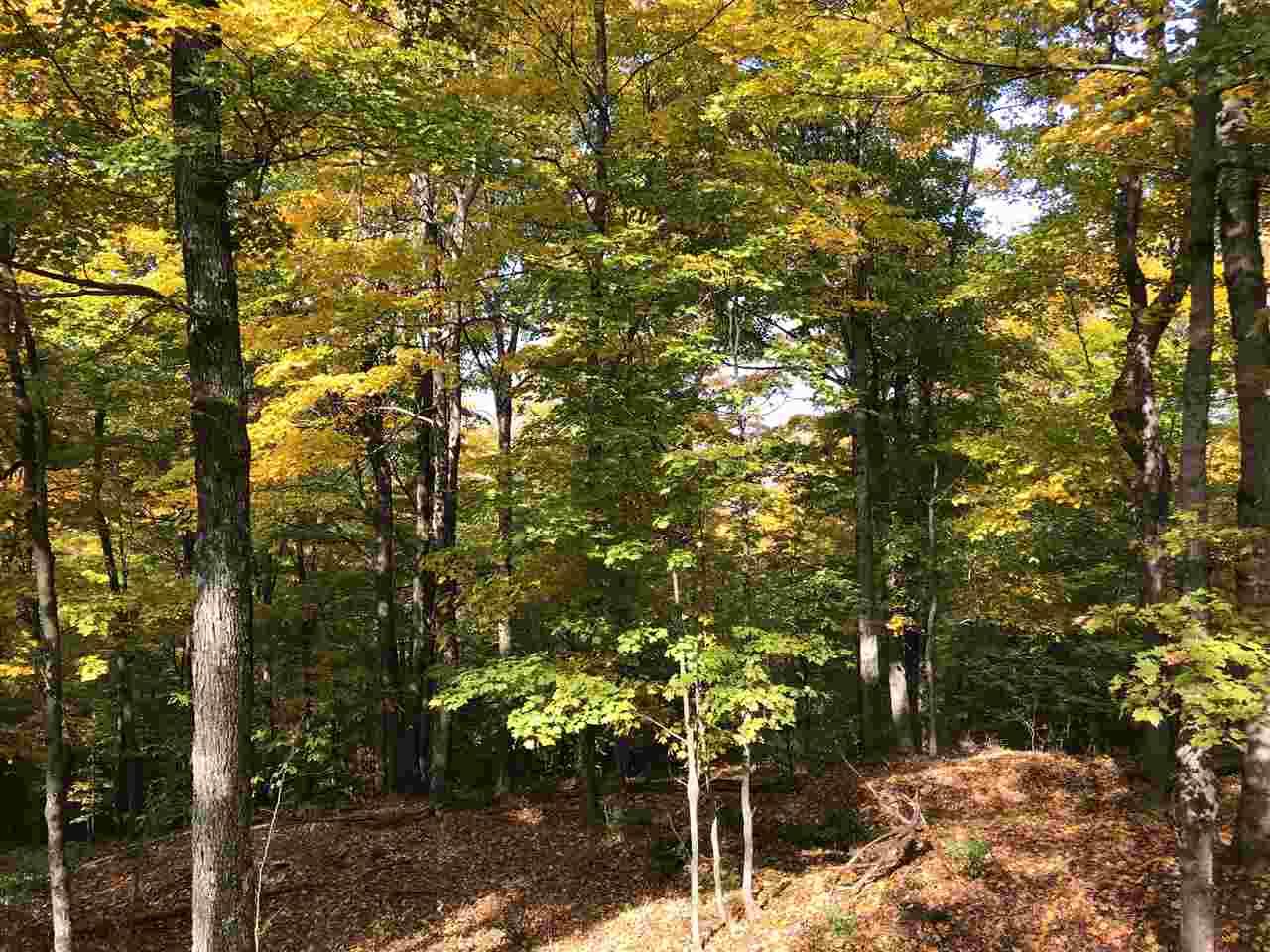 0 Economou Road Huntington, VT 05462 - Photo 4 of 9 Gallery Image 4