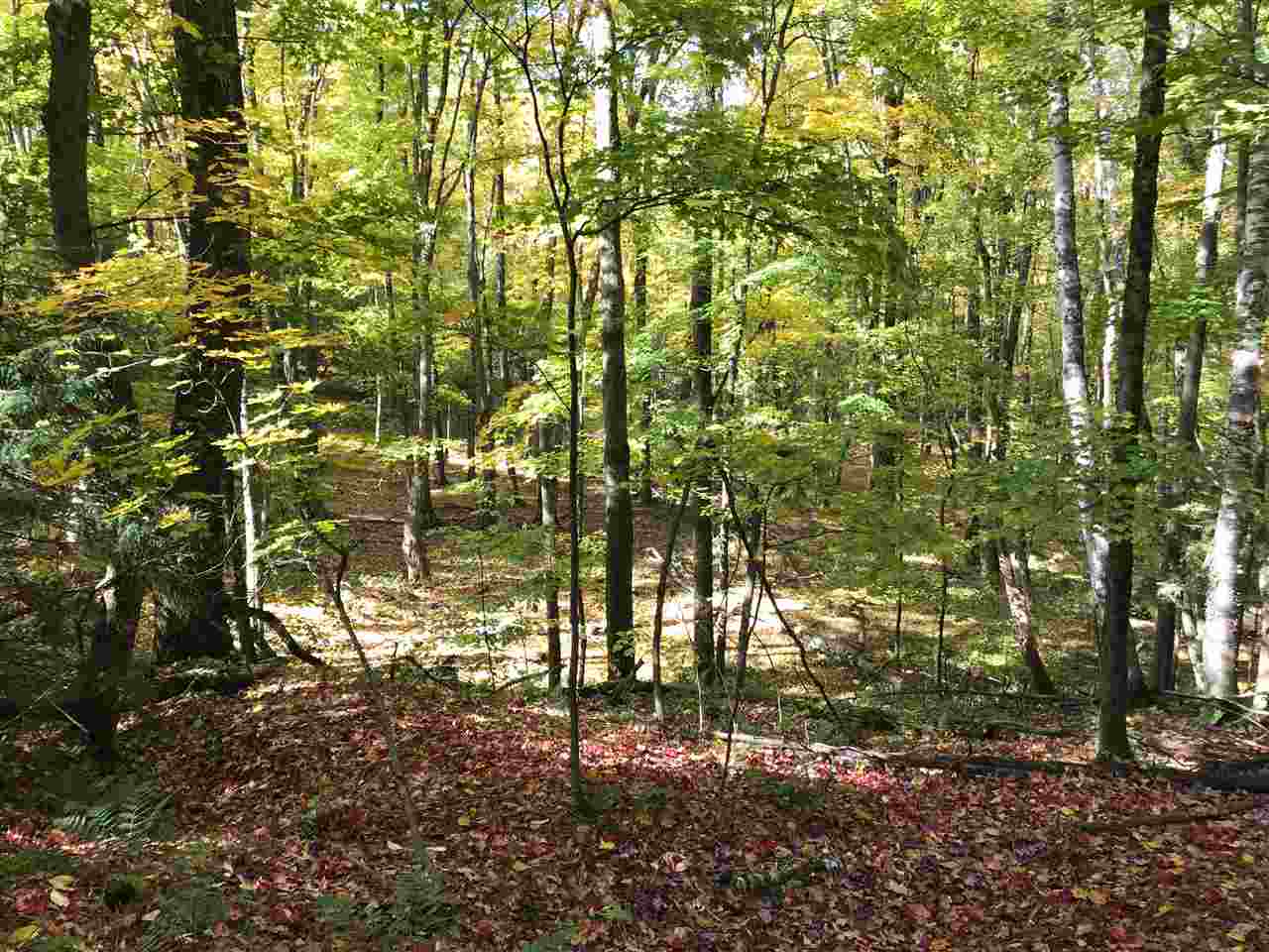 0 Economou Road Huntington, VT 05462 - Photo 5 of 9 Gallery Image 5