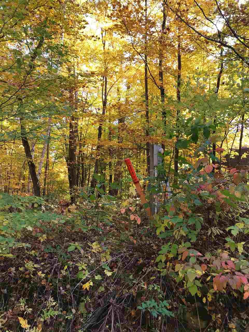 0 Economou Road Huntington, VT 05462 - Photo 8 of 9 Gallery Image 8