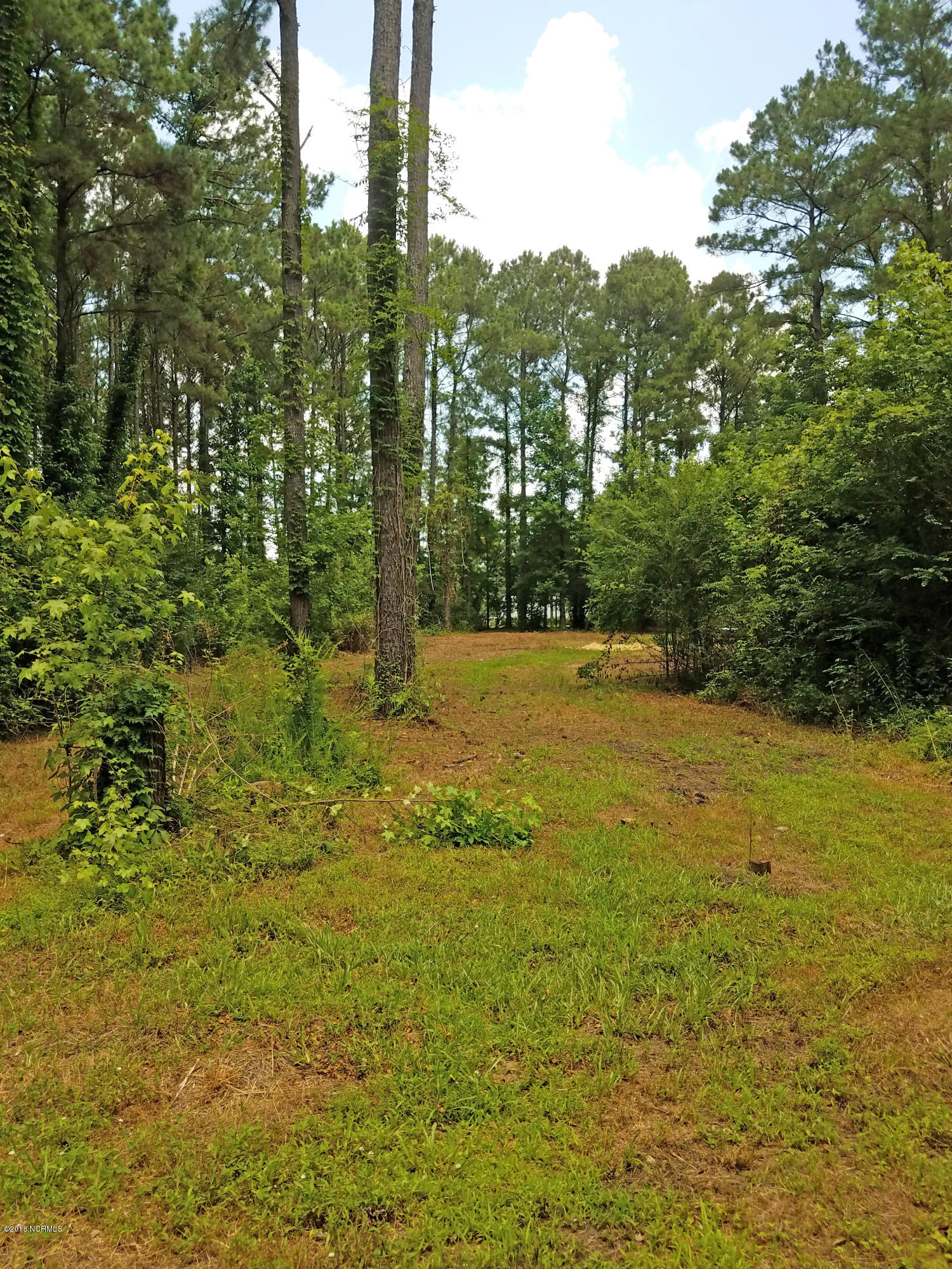 Lot 68 Pond Road Rocky Point, NC 28457 - Photo 3 of 8 Open Area