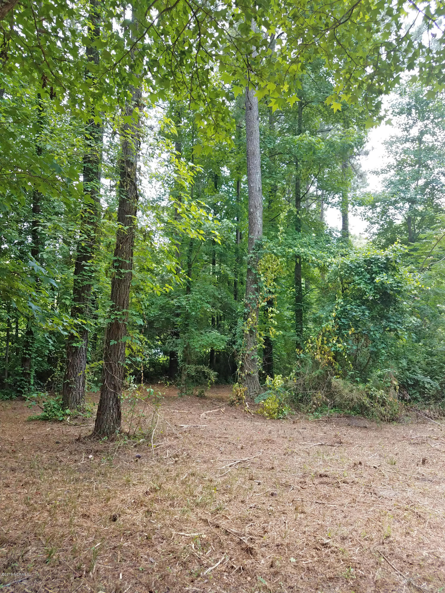 Lot 68 Pond Road Rocky Point, NC 28457 - Photo 5 of 8 Additional View