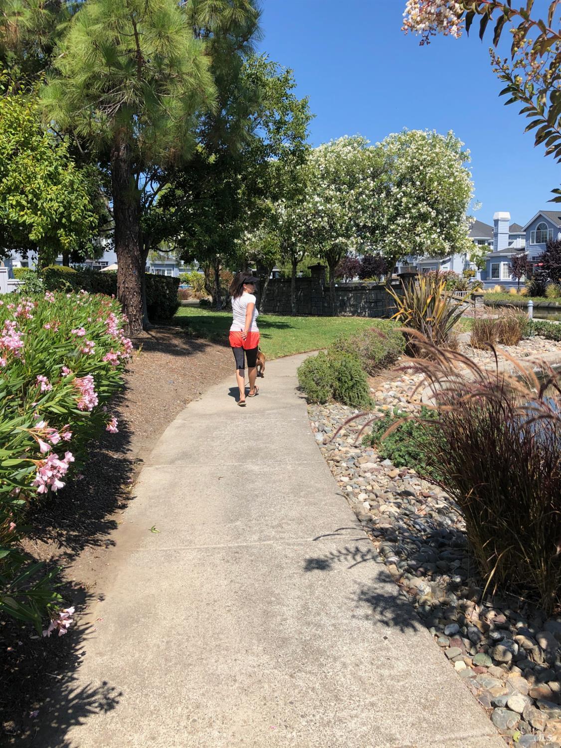 94 Mariners Circle San Rafael, CA 94903 - Photo 50 of 54 Great paths for walking dogs.