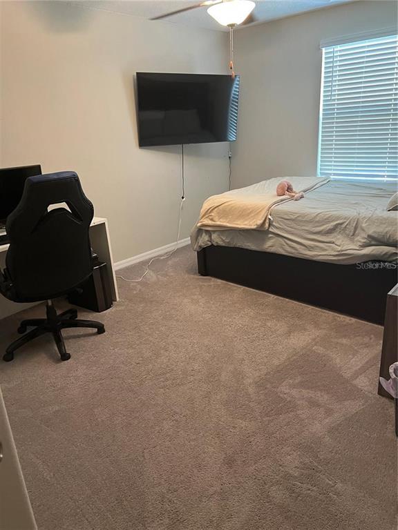 31811 Sun Kettle Loop Wesley Chapel, FL 33545 - Photo 14 of 15