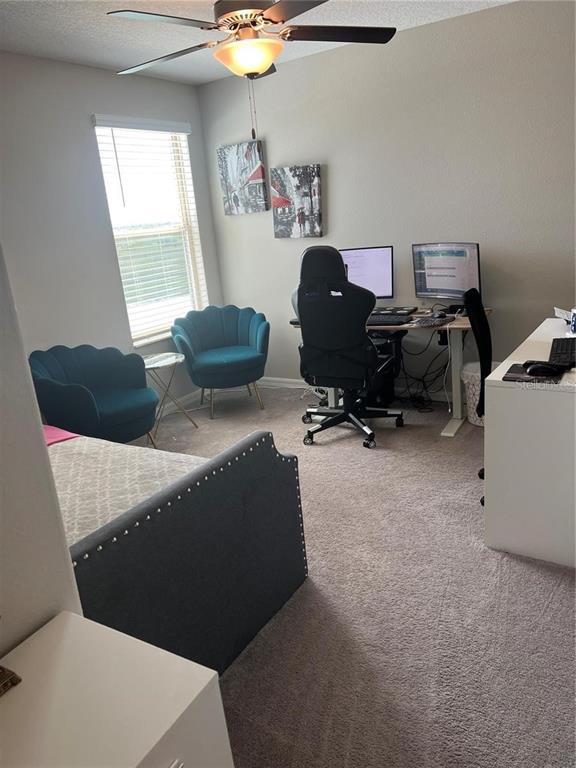 31811 Sun Kettle Loop Wesley Chapel, FL 33545 - Photo 15 of 15