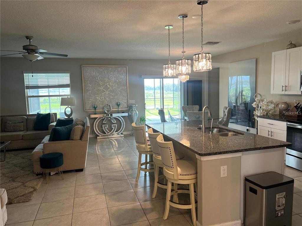 31811 Sun Kettle Loop Wesley Chapel, FL 33545 - Photo 5 of 15