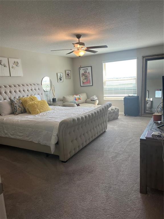 31811 Sun Kettle Loop Wesley Chapel, FL 33545 - Photo 8 of 15