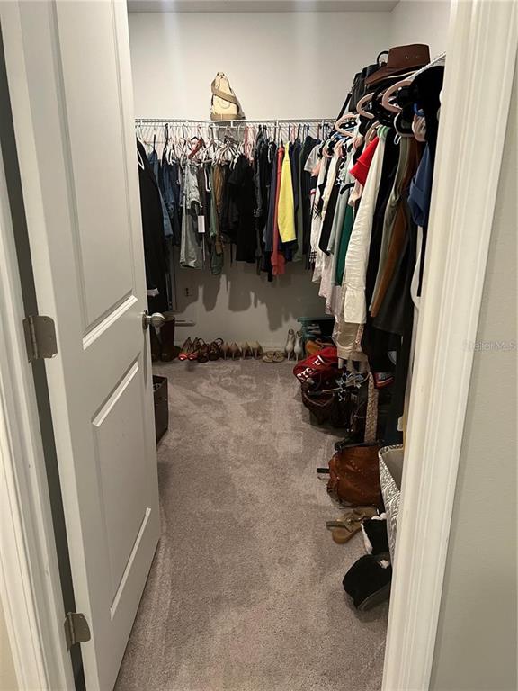 31811 Sun Kettle Loop Wesley Chapel, FL 33545 - Photo 10 of 15