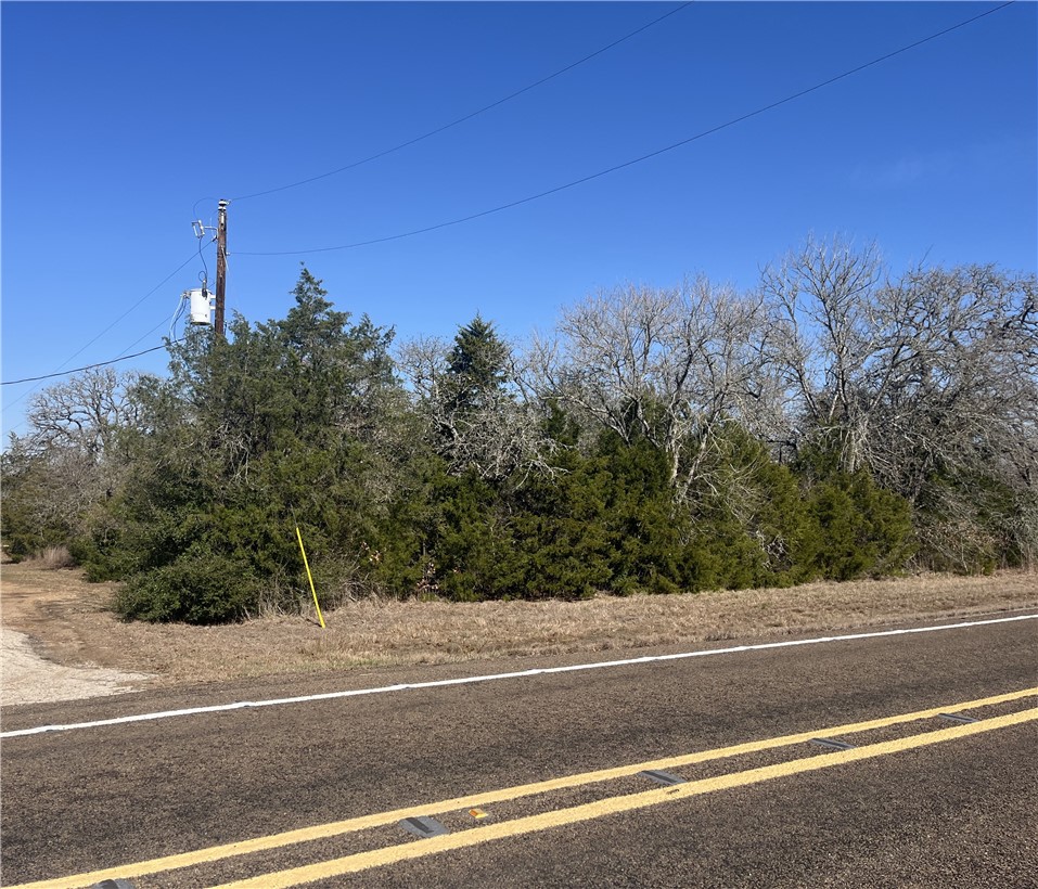 Tbd Michael Circle Somerville, TX 77879 - Photo 3 of 9