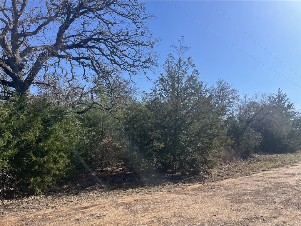 Tbd Michael Circle Somerville, TX 77879 - Photo 4 of 9