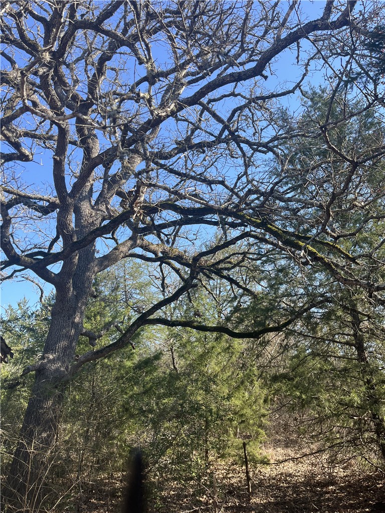 Tbd Michael Circle Somerville, TX 77879 - Photo 5 of 9