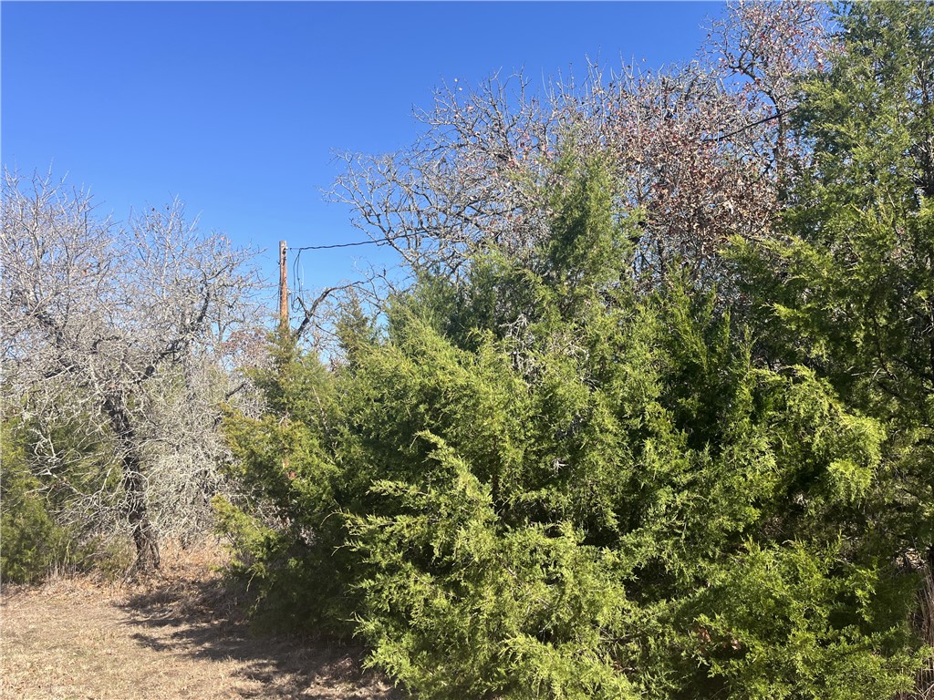 Tbd Michael Circle Somerville, TX 77879 - Photo 6 of 9