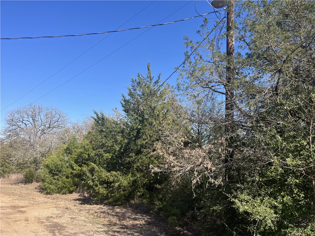 Tbd Michael Circle Somerville, TX 77879 - Photo 7 of 9