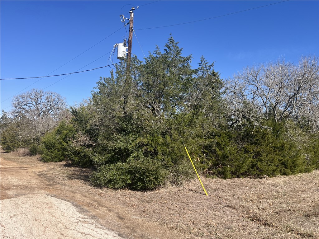 Tbd Michael Circle Somerville, TX 77879 - Photo 8 of 9