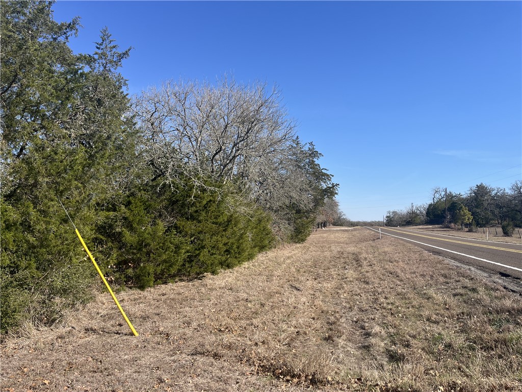 Tbd Michael Circle Somerville, TX 77879 - Photo 9 of 9