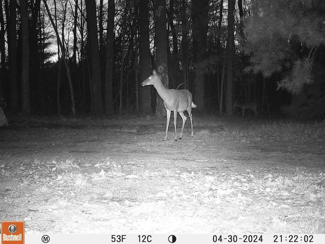 $249,900 | 376 West Lincoln Street, Brohman, MI 49312