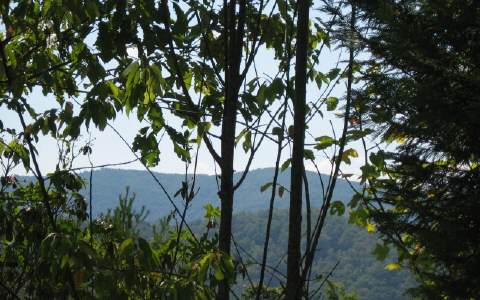 206 Choctaw Ridge Blue Ridge, GA 30513 - Photo 1 of 1 Main View