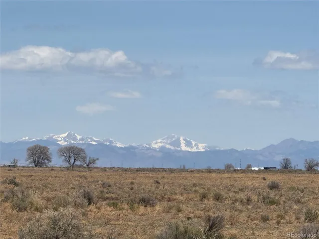 a view of a dry yard