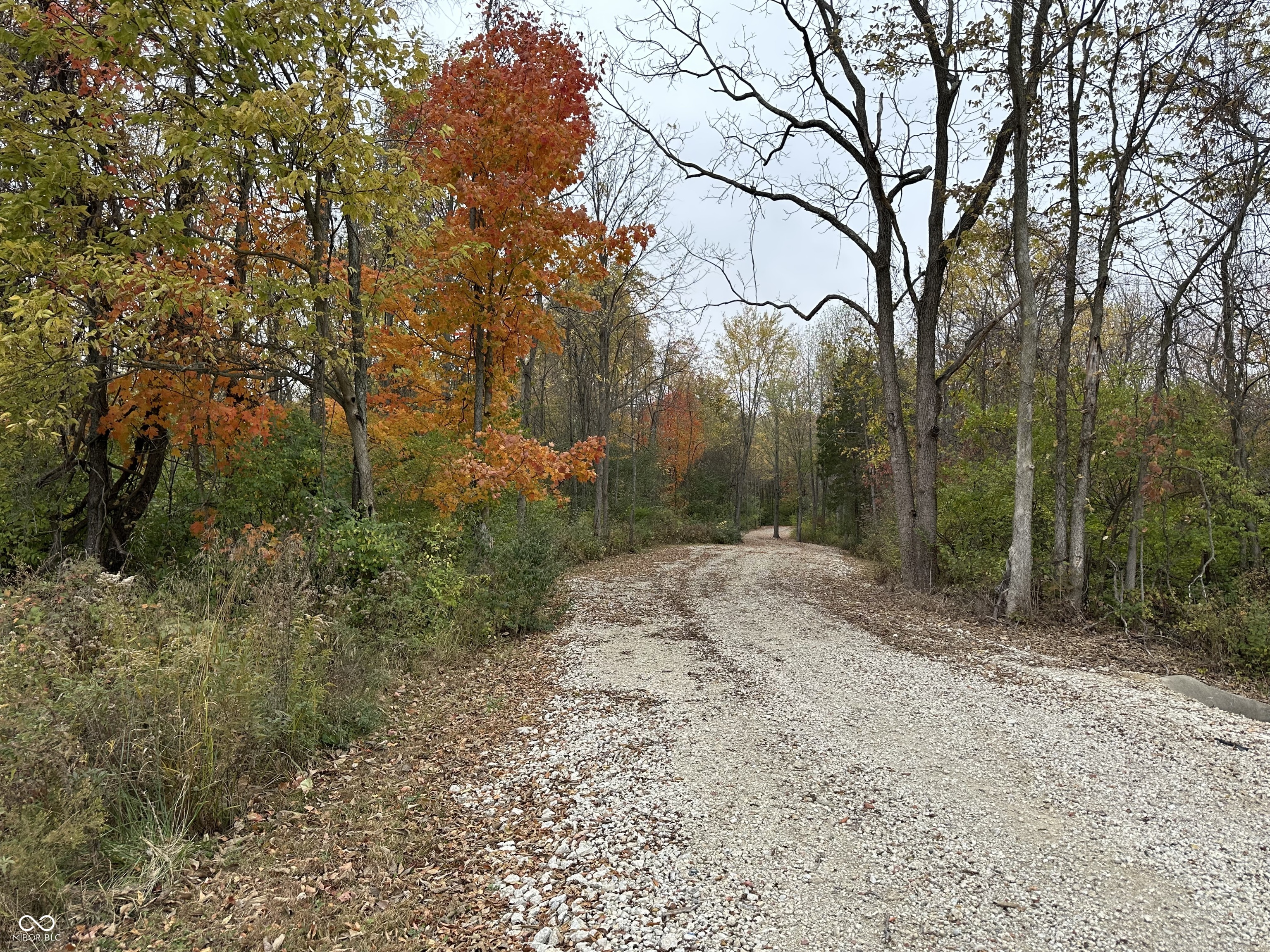 0 State Road 39 Road Clayton, IN 46118 - Photo 2 of 4 Gallery Image 2
