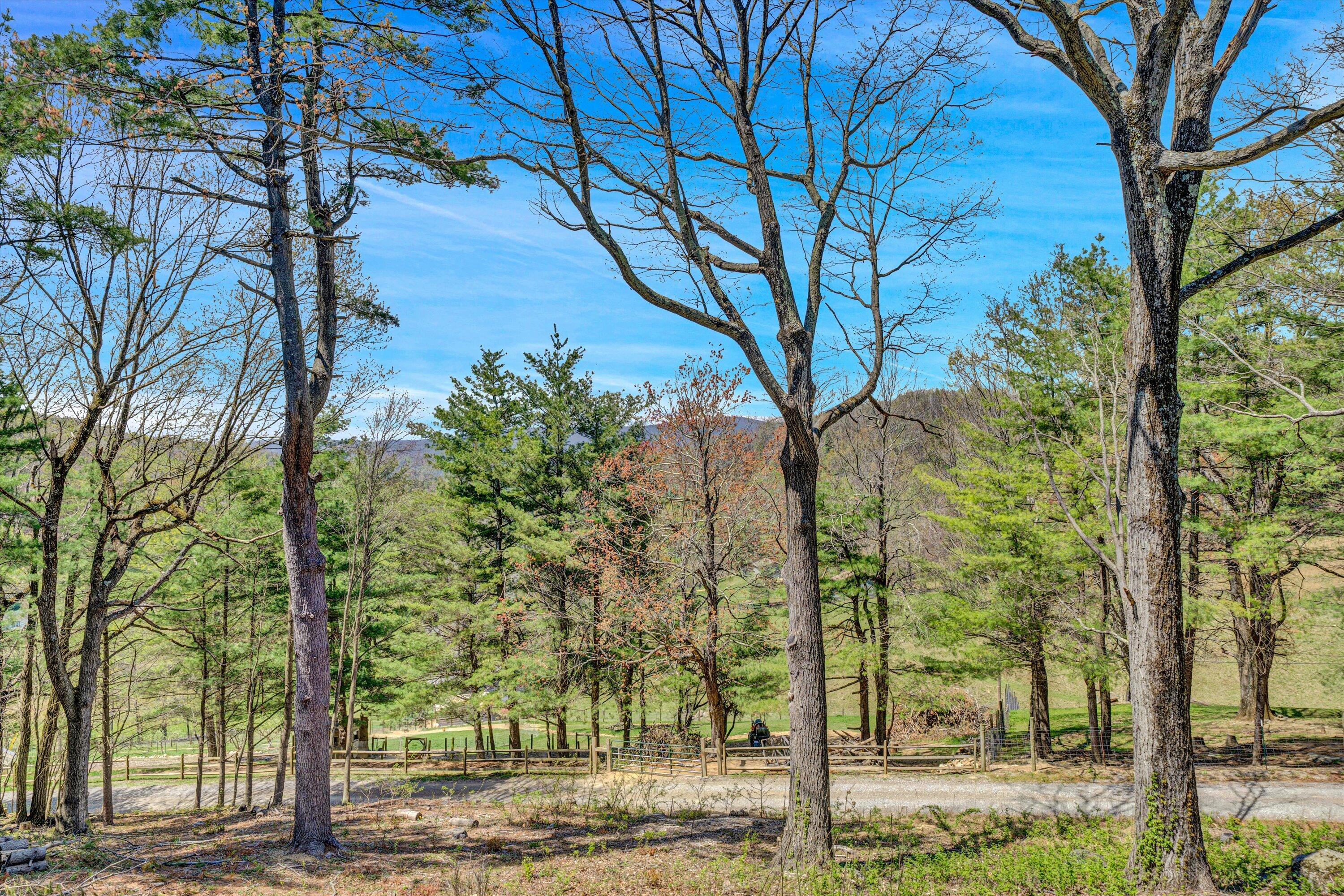 10610 Slings Gap Road Bent Mountain, VA 24059 - Photo 56 of 61 Wooded Views