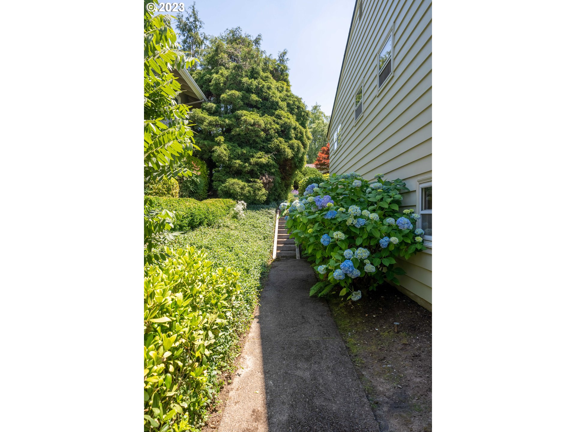 3815 Southwest 50th Avenue Portland, OR 97221 - Photo 33 of 36 a view of a garden with potted plants