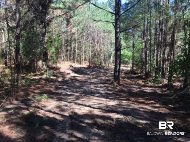 38540 County Road 39 Stapleton, AL 36578 - Photo 4 of 15