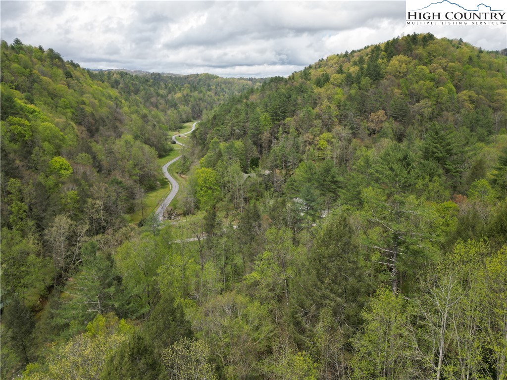 a view of a forest with a street