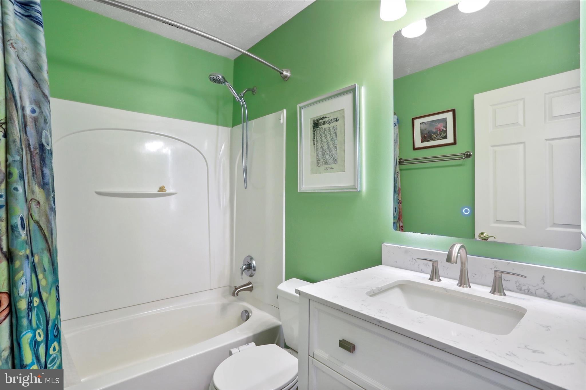 5670 Long Meadow Road Middletown, VA 22645 - Photo 22 of 61 a bathroom with a sink and a mirror