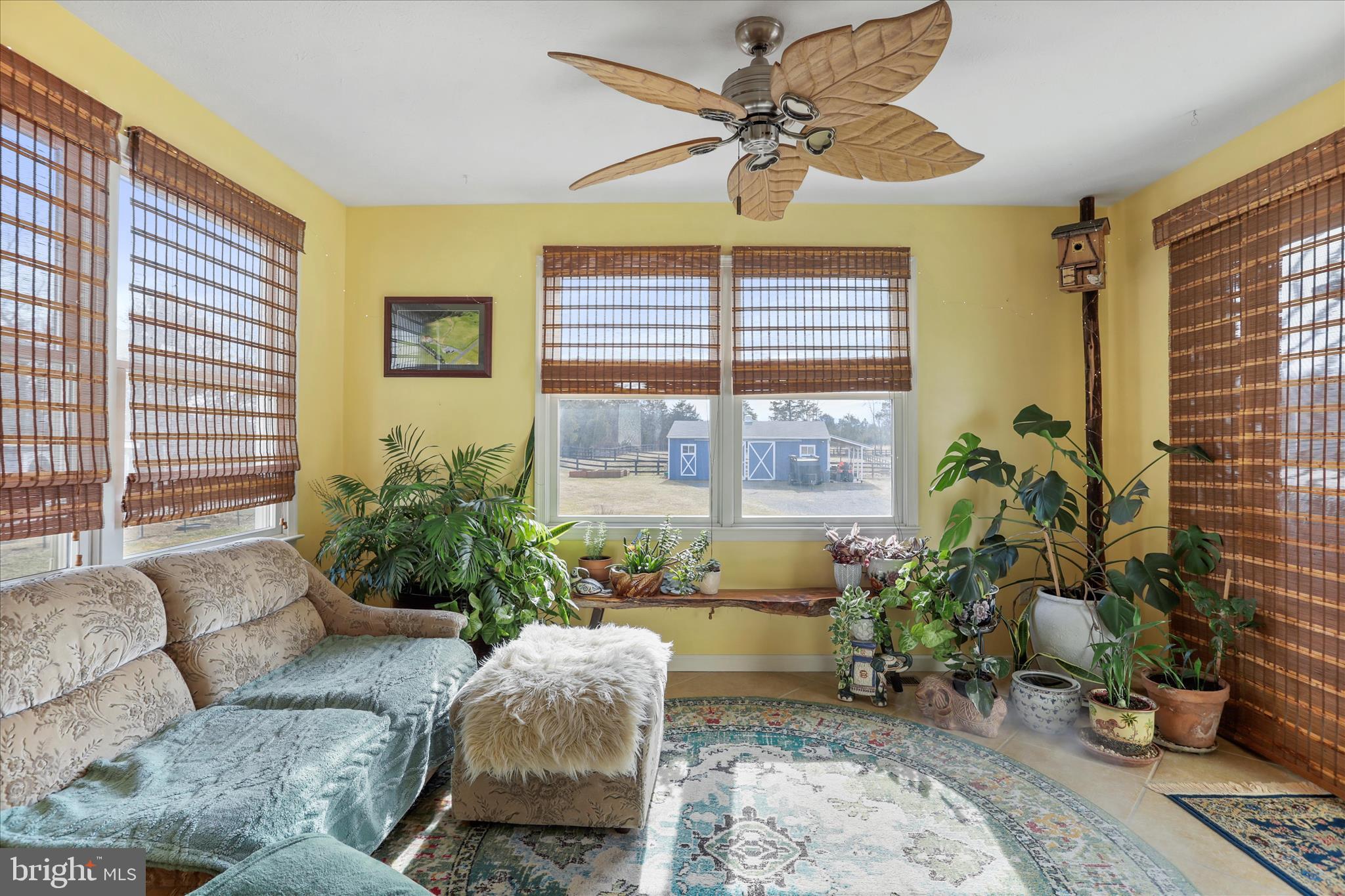 5670 Long Meadow Road Middletown, VA 22645 - Photo 27 of 61 a living room with furniture and a potted plant