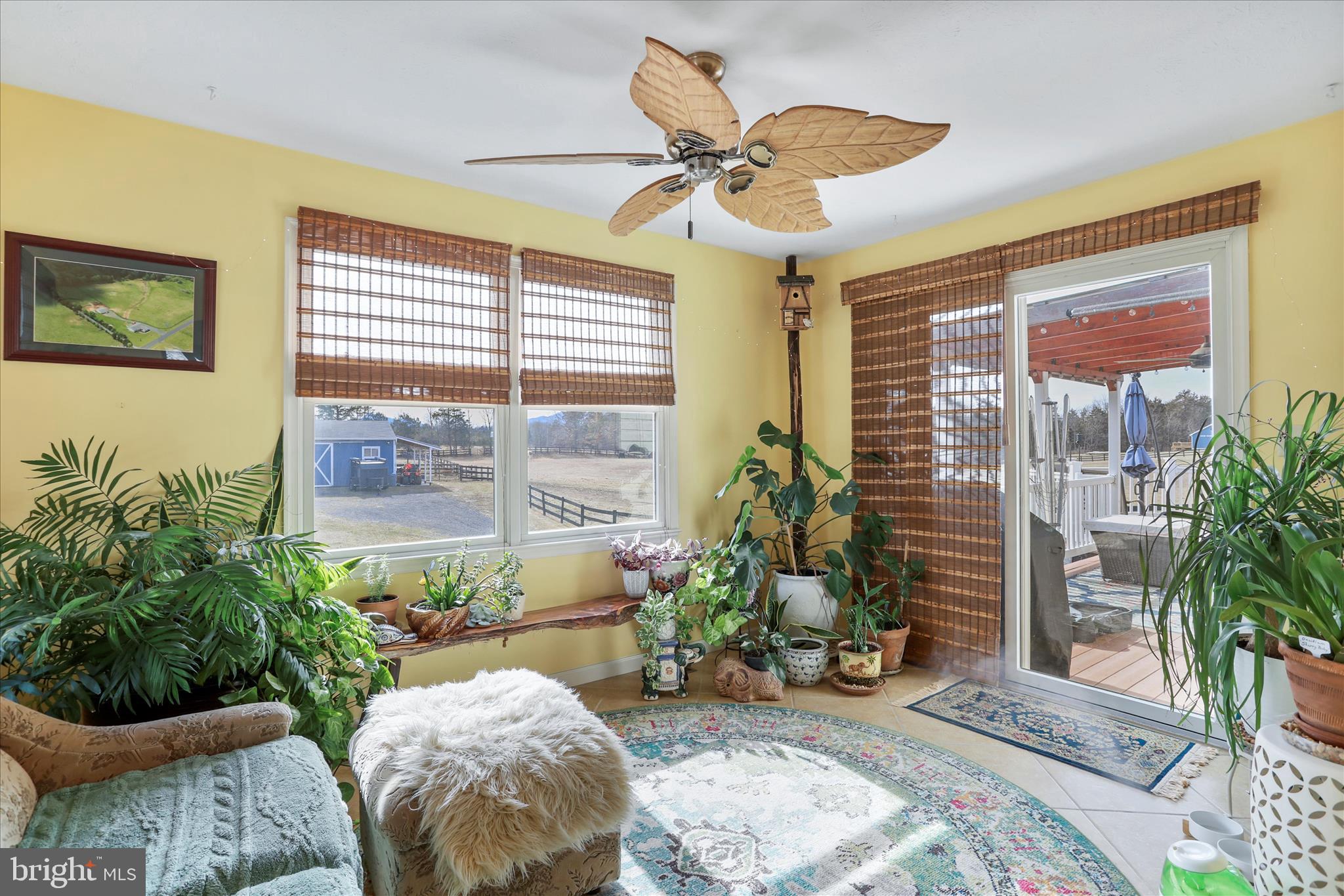 5670 Long Meadow Road Middletown, VA 22645 - Photo 28 of 61 a living room with furniture and a potted plant