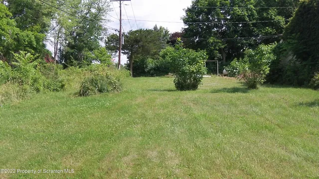 a view of a trees with a yard