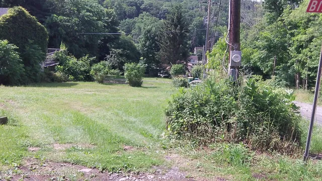 a view of a garden with plants