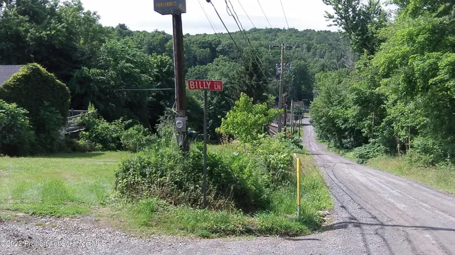 a view of a street with flower plants next to a road