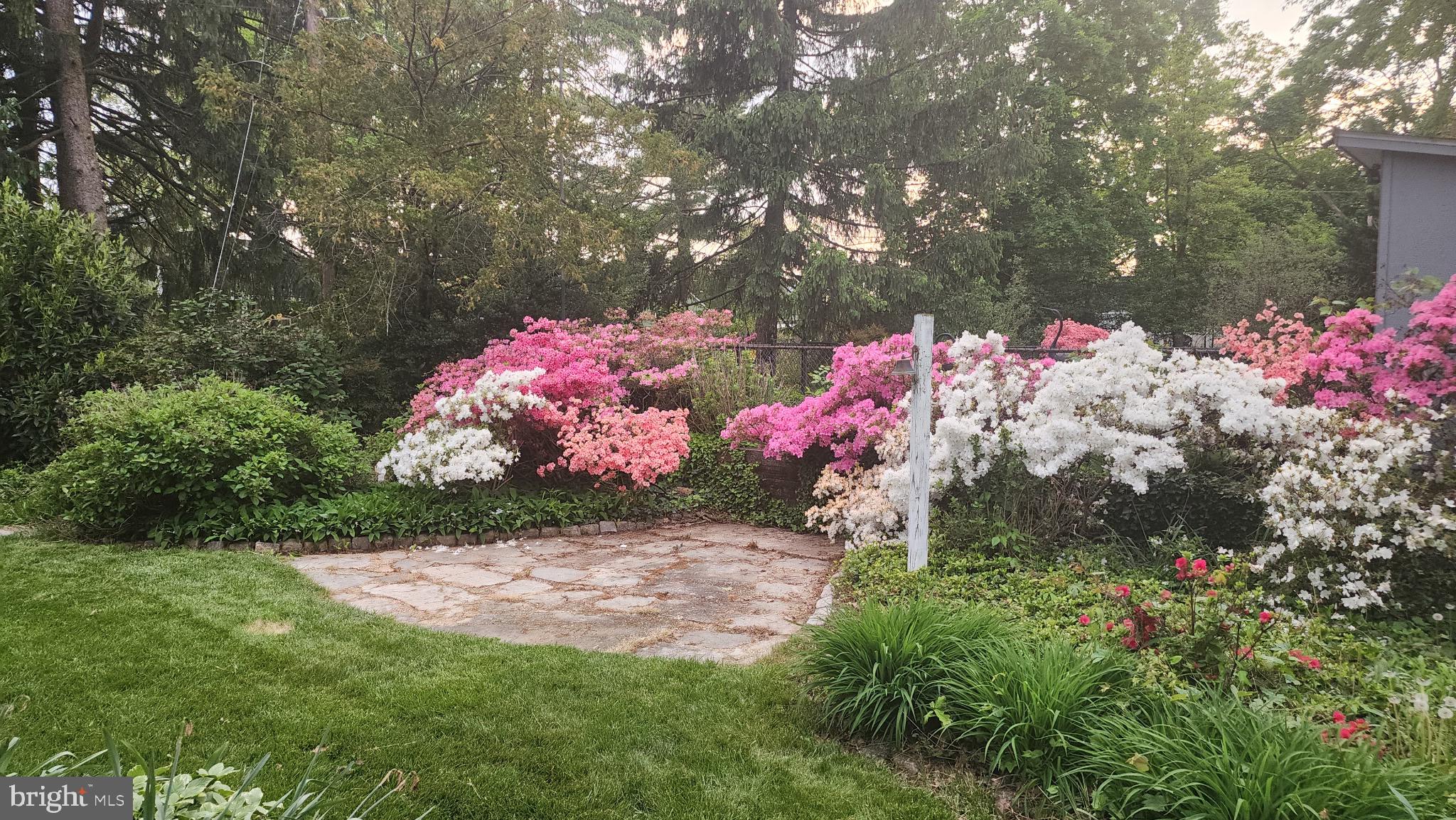 6506 Beverly Road Baltimore, MD 21239 - Photo 56 of 66 Gardens