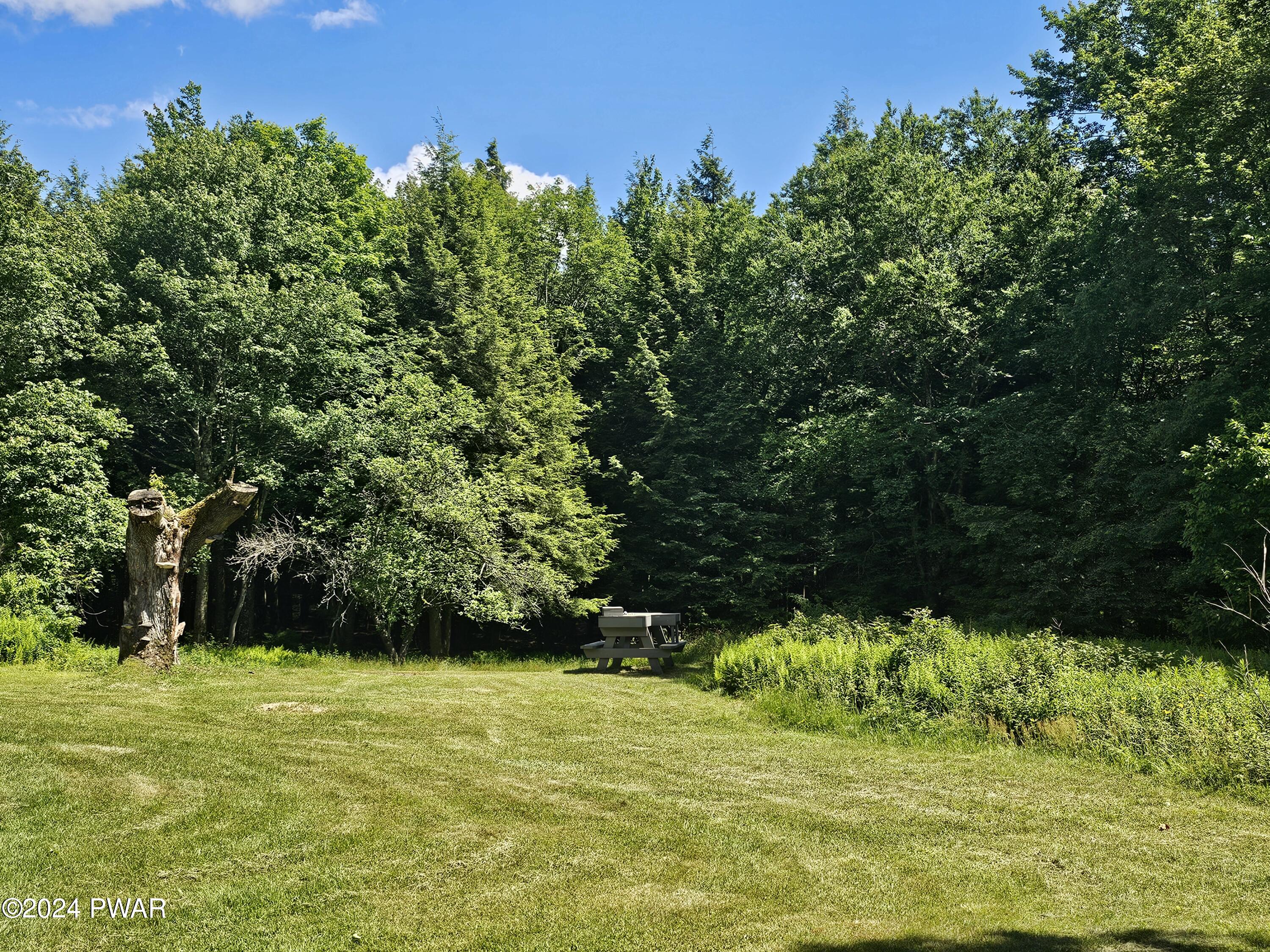 284 Spruce Lake Road Thompson, PA 18465 - Photo 5 of 34 Gallery Image 5