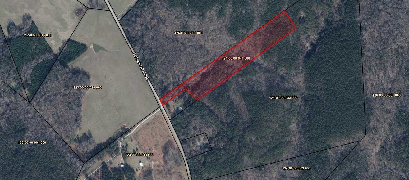 Old Buncombe Road Union, SC 29379 - Photo 4 of 4