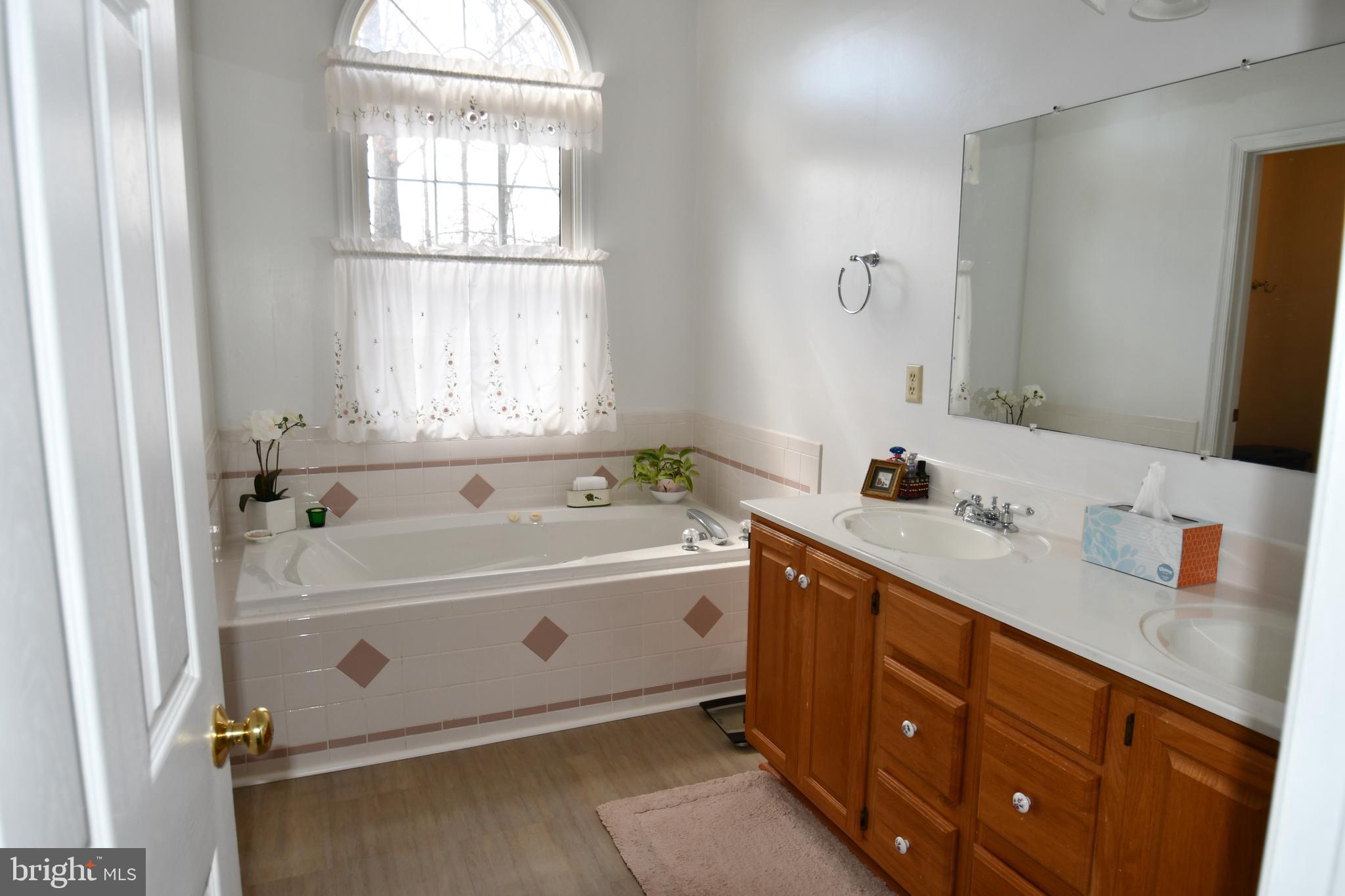 271 Monastery Ridge Road Stephenson, VA 22656 - Photo 50 of 89 Master Bath