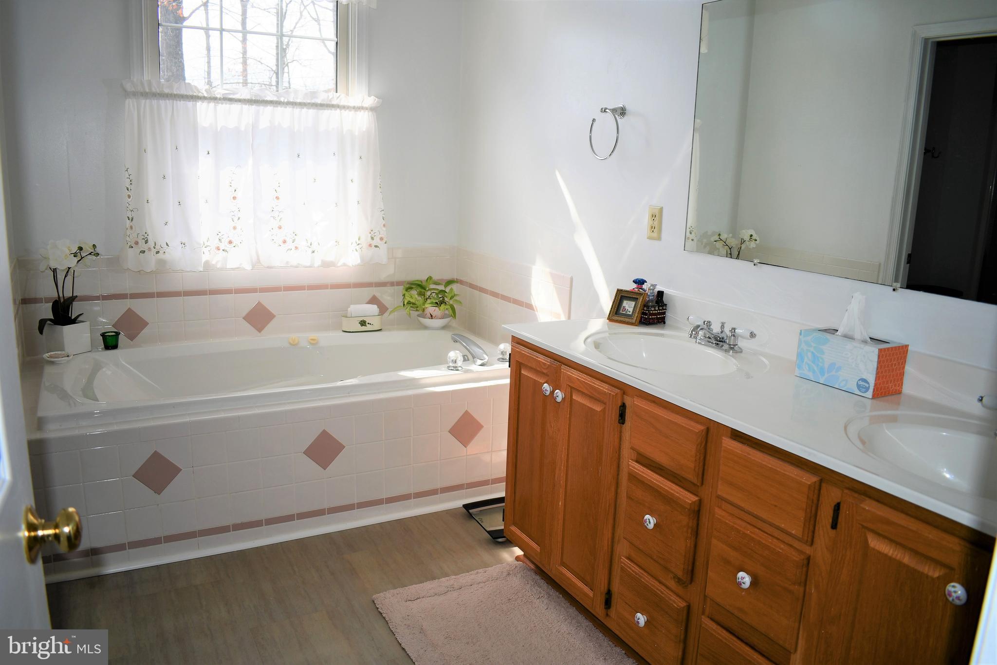 271 Monastery Ridge Road Stephenson, VA 22656 - Photo 51 of 89 Master Bath