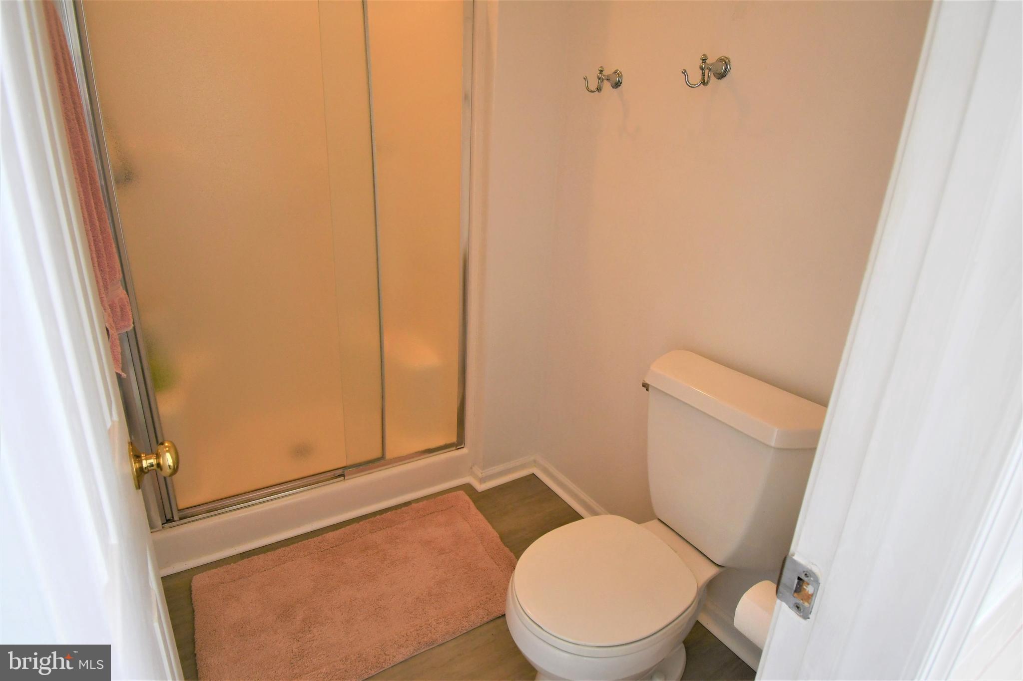 271 Monastery Ridge Road Stephenson, VA 22656 - Photo 52 of 89 Master Bath