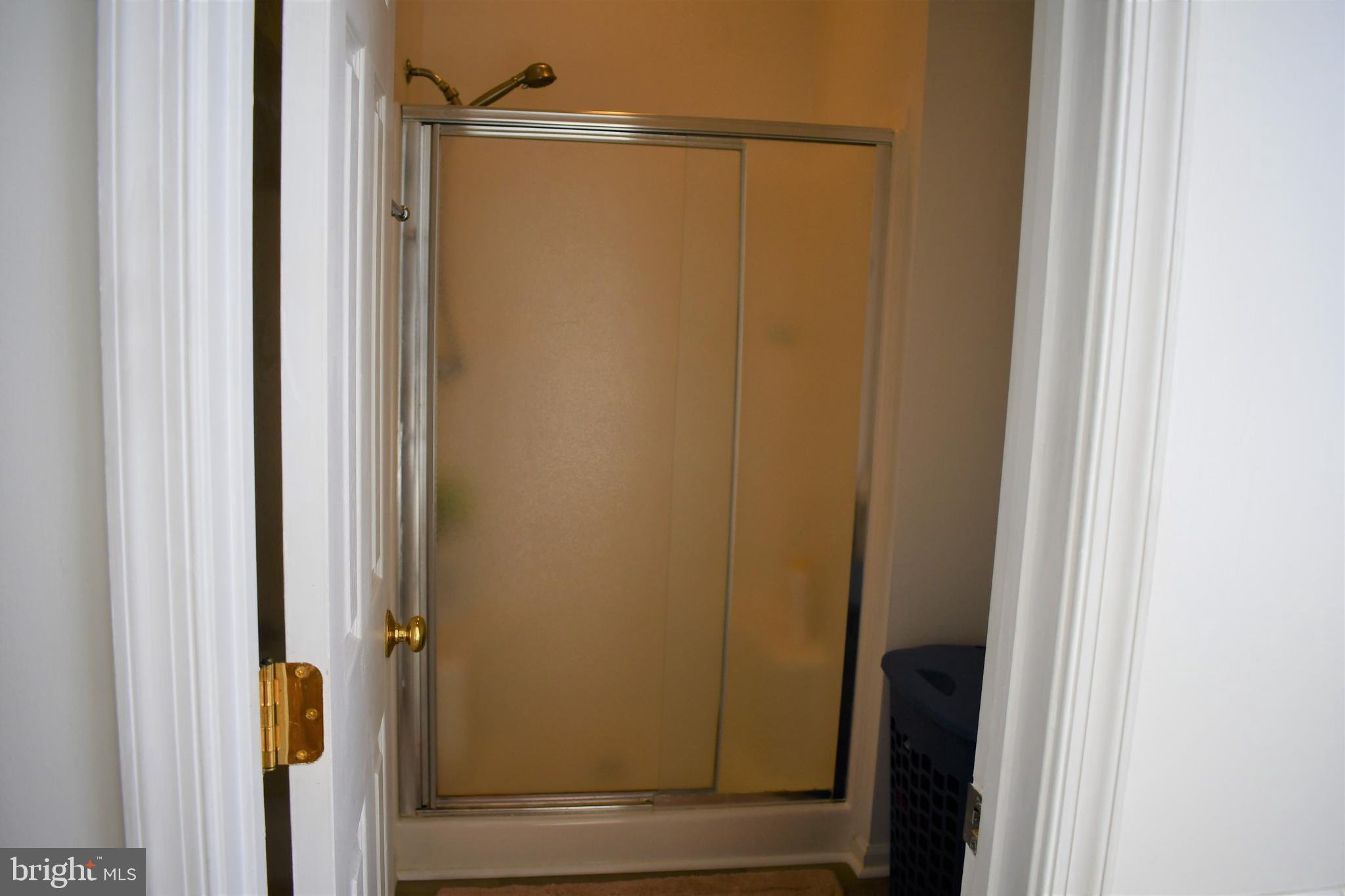 271 Monastery Ridge Road Stephenson, VA 22656 - Photo 53 of 89 Master Bathroom Shower