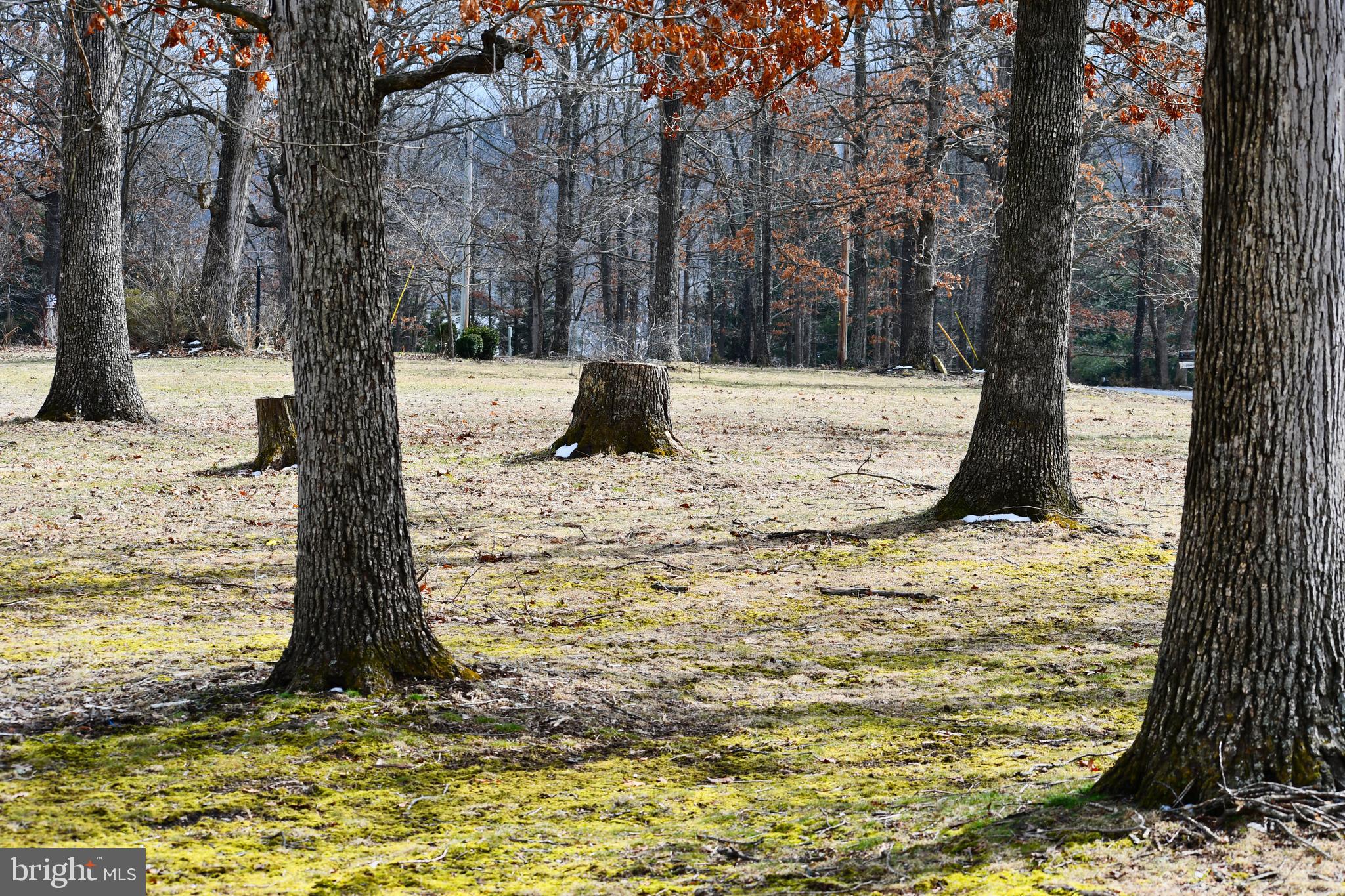 271 Monastery Ridge Road Stephenson, VA 22656 - Photo 68 of 89 View